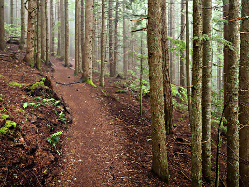 5-Day Sensational Mount Kenya Climbing