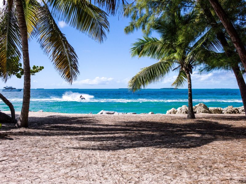 5-Day Masai Mara-Naivasha- Amboseli- Train to Mombasa