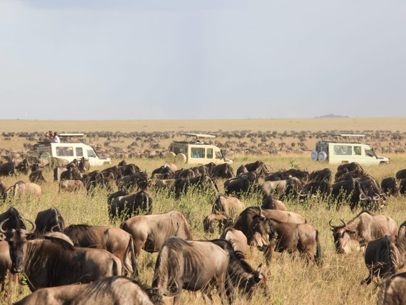 3-Day Masai Mara National Reserve Eco-Trail