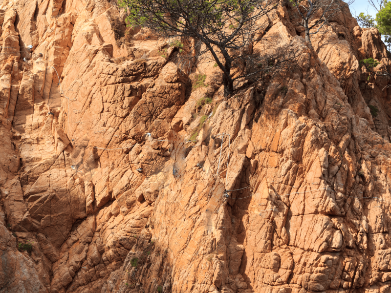 7-Day Rock Climbing on Mt Kenya North Face Route