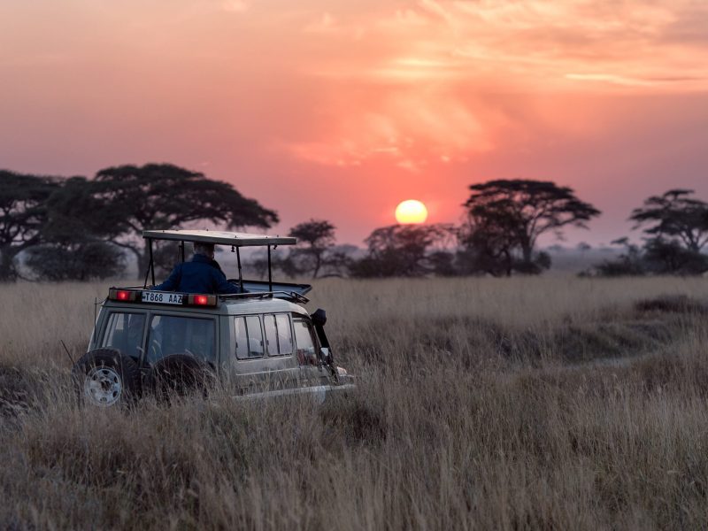 6-Day Ol Pejeta, Lake Naivasha and Masai Mara Safari