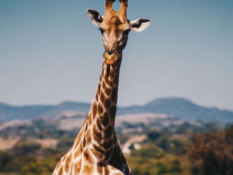 2-Day Nakuru – Naivasha – Hell’s Gate – Crescent Island