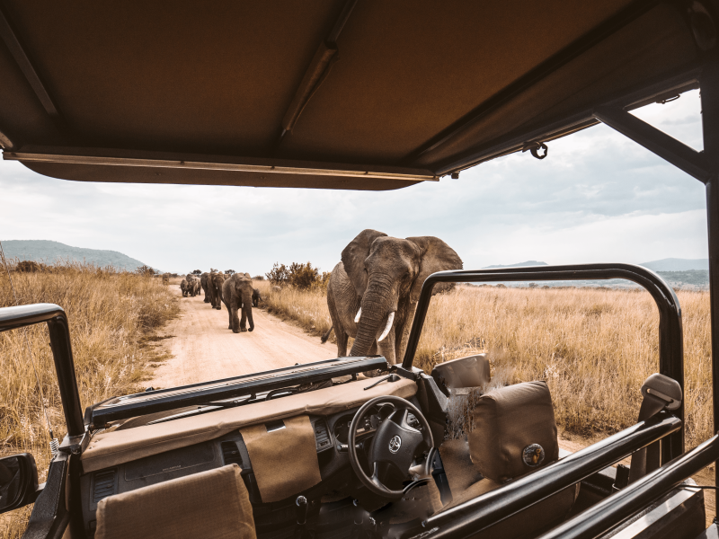 5-Day Kilimanjaro Safari