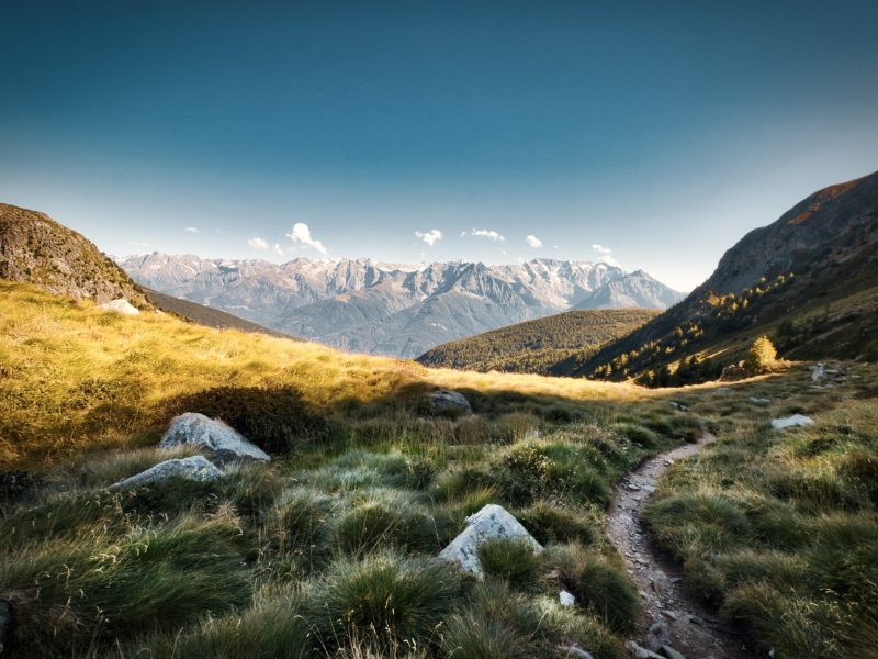 4-Day Mt Kenya Trekking Sirimon Route down Chogoria